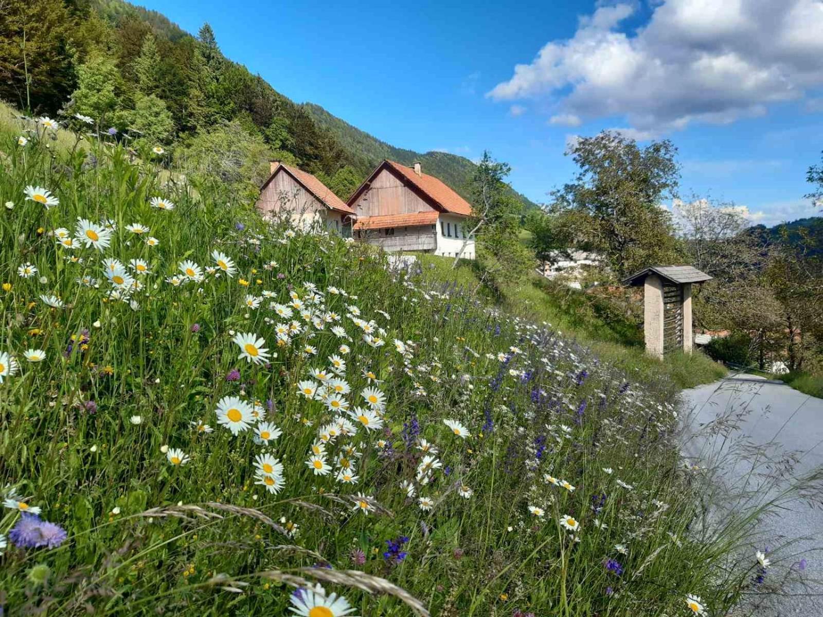 Miklavzeva Hisa With A Bread Oven Villa Zelezniki Buitenkant foto